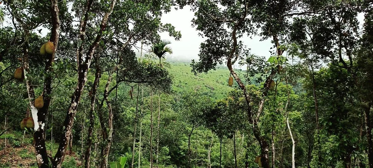 Alloggio per agriturismo Verdant Vagamon Farm House India