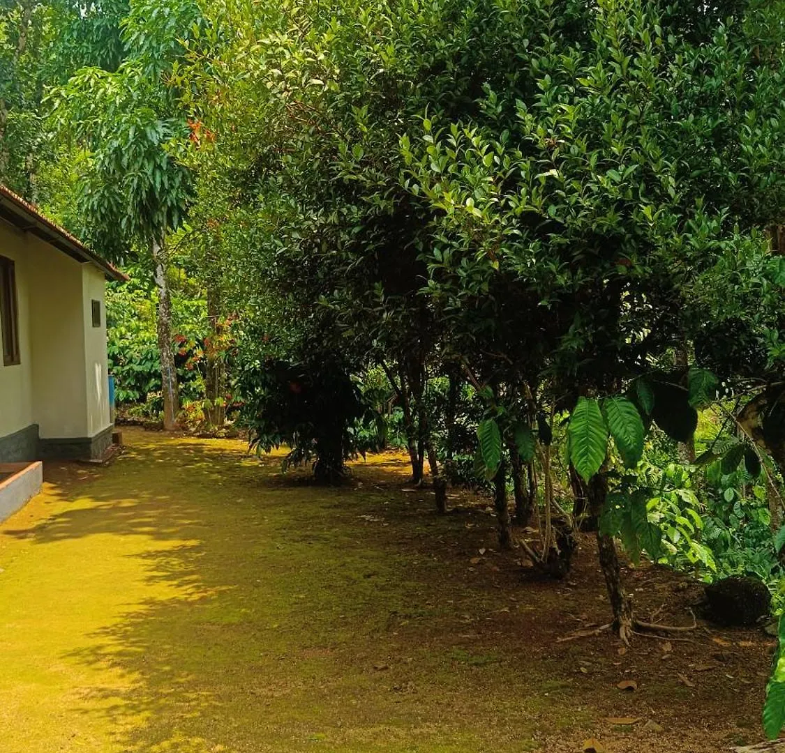 Alloggio per agriturismo Verdant Vagamon Farm House India