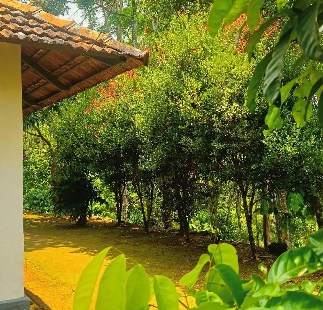 Verdant Vagamon Farm House